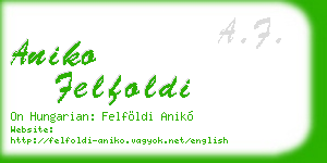 aniko felfoldi business card